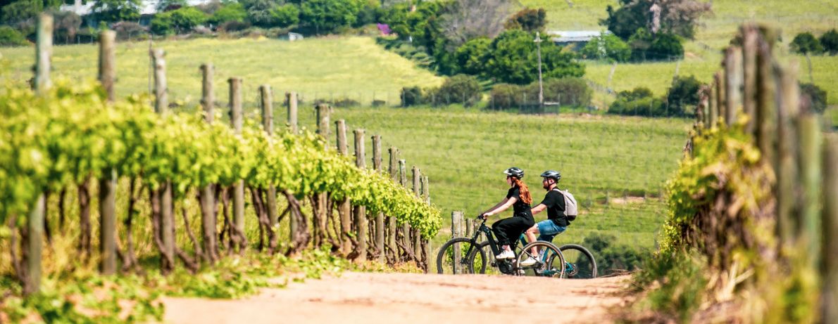 Group of Cyclists