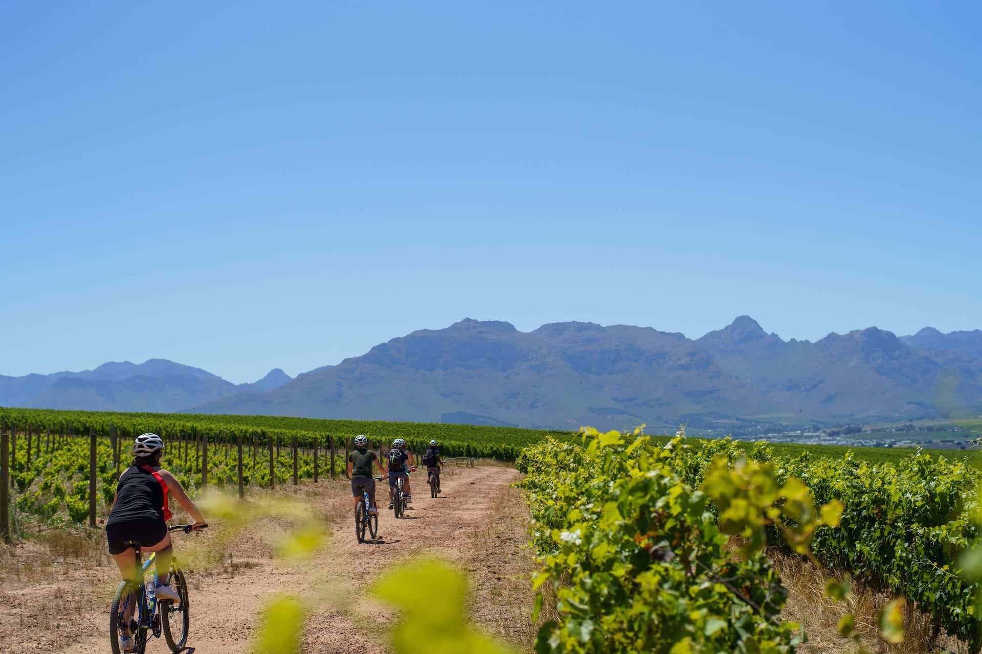 Cape Adventure Brands Blog