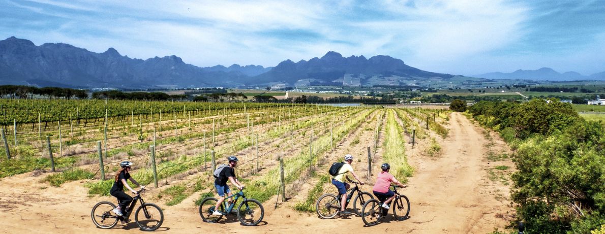 Group of Cyclists